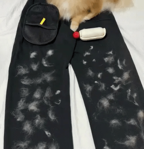 הכפפה להסרת פרווה שתעזור לנקות את הבית שלכם בקלות!