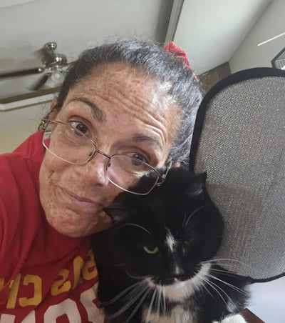 החתול שלי אוהב את זה!